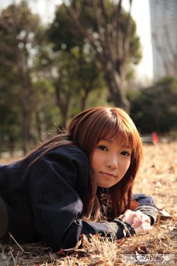 少年白马醉春风电视剧真人版